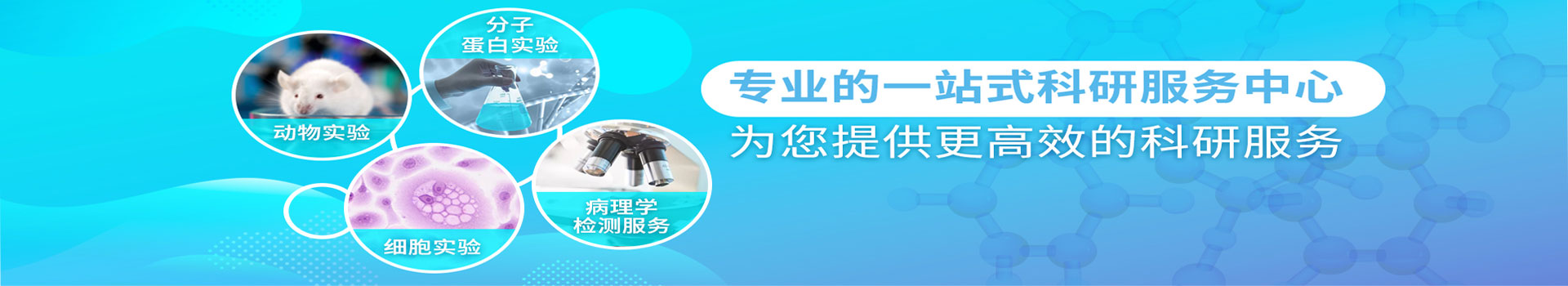 德?tīng)柗?></a></li><li><a target=