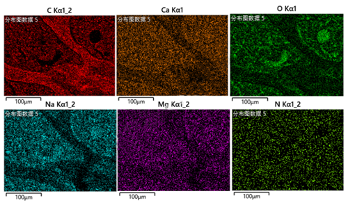 干燥樣本SEM能譜面掃描