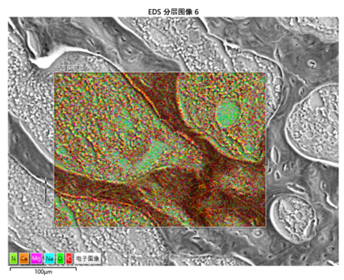 干燥樣本SEM能譜點掃描線掃描