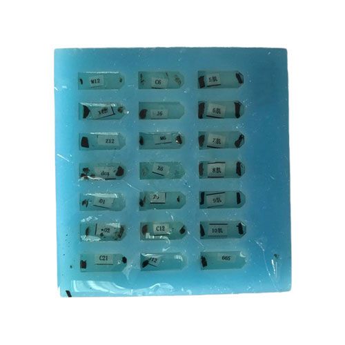 樹脂包埋（透射電鏡）