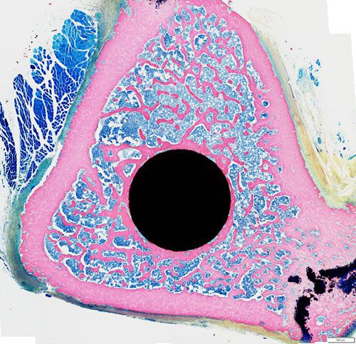 拍照（圖像拼接）