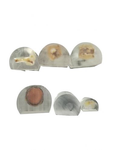 植物硬組織包埋