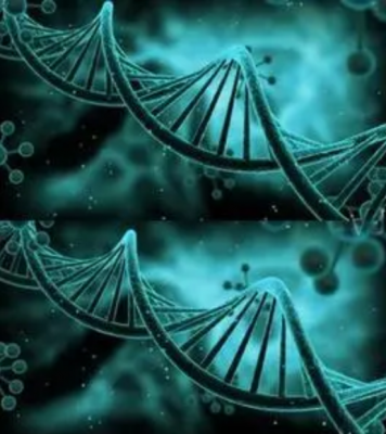 各類組織常規(guī)取材部位選擇菜單